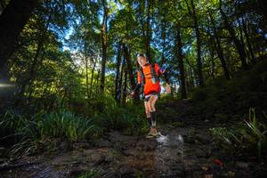 BIB: 
                            <button type="button" onclick="openModal(19229730)" class="btn btn-primary btn-sm float-right btn-popup" data-toggle="modal" data-target=".modal-high-quality">
                        <i class="fas fa-shopping-cart"></i> Add to Cart
                    </button>
                                            <button type="button" onclick="isThisMe(19229730, true)" class="btn btn-success btn-sm float-right btn-popup btn-isme hidden" data-toggle="tooltip" data-placement="bottom" title="นี่คือรูปของคุณใช่ไหม คลิกที่นี่เพื่อเอาเข้าอัลบั้ม">
                        <i class="fas fa-plus"></i> Add to album
                    </button>
                    <button type="button" onclick="isThisMe(19229730, false)" class="btn btn-warning btn-sm float-right btn-popup btn-isnotme hidden">
                        <i class="fas fa-ban"></i> Remove from album
                    </button>